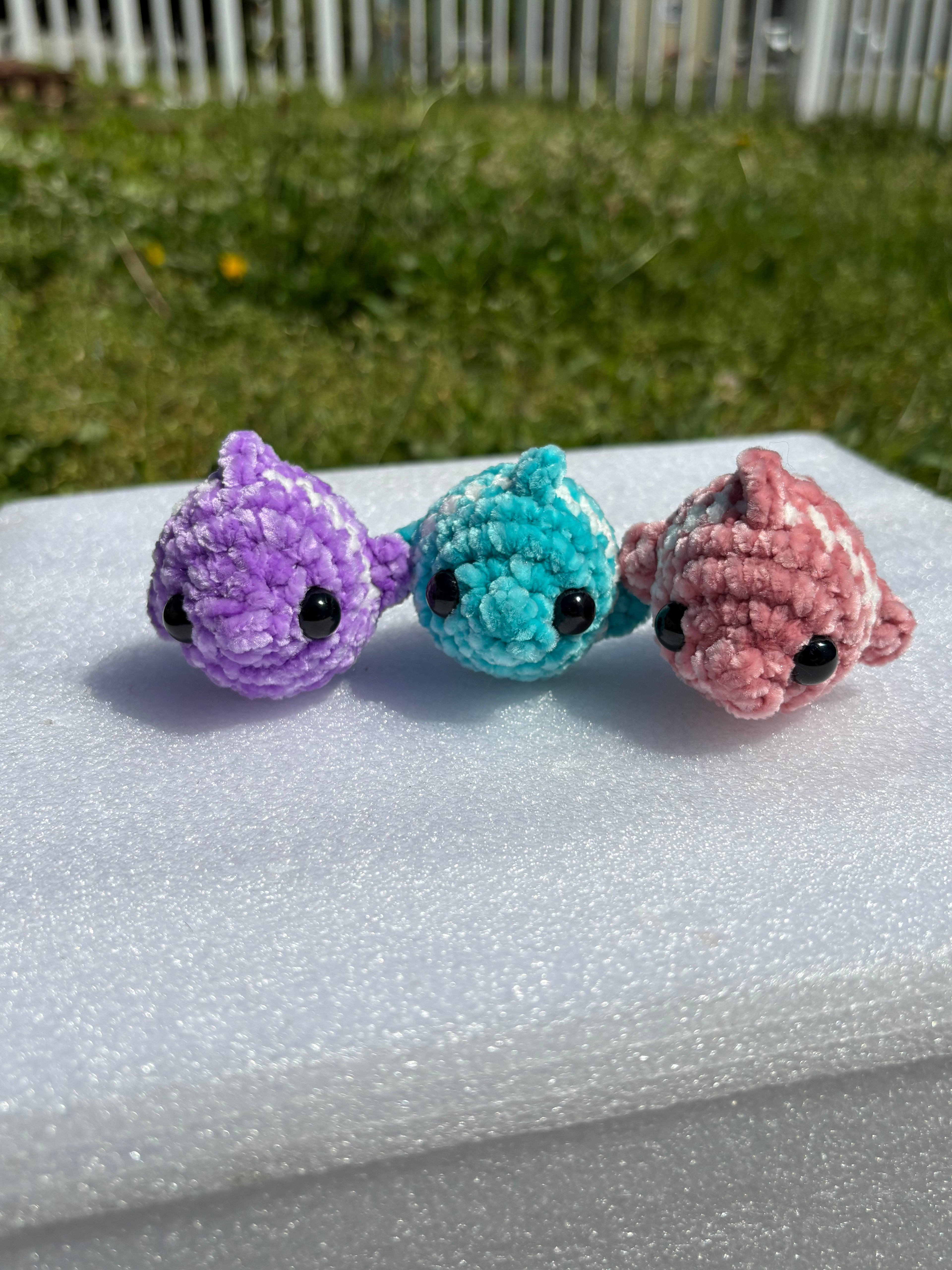 Little fishy