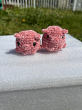 Pocket piggy
