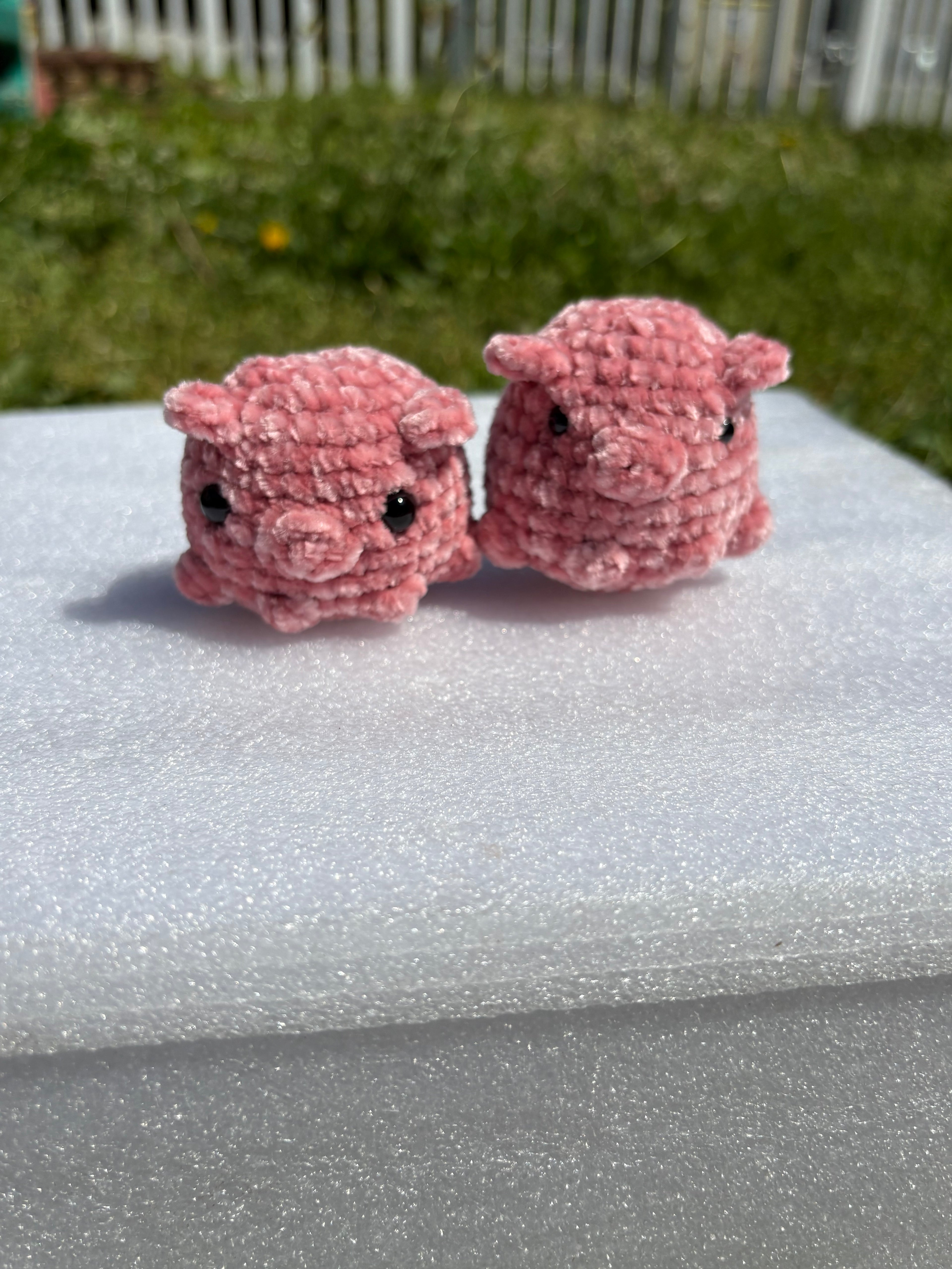 Pocket piggy