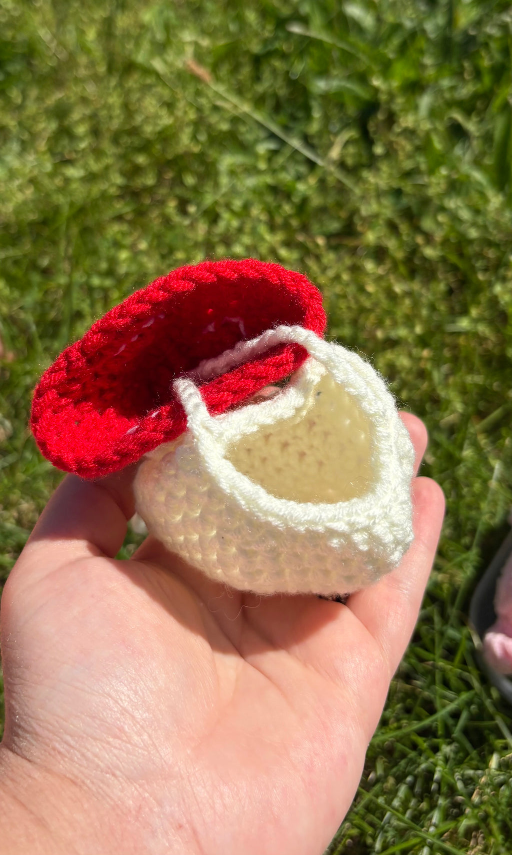 Mushroom pouch