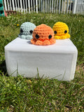 Small octopus